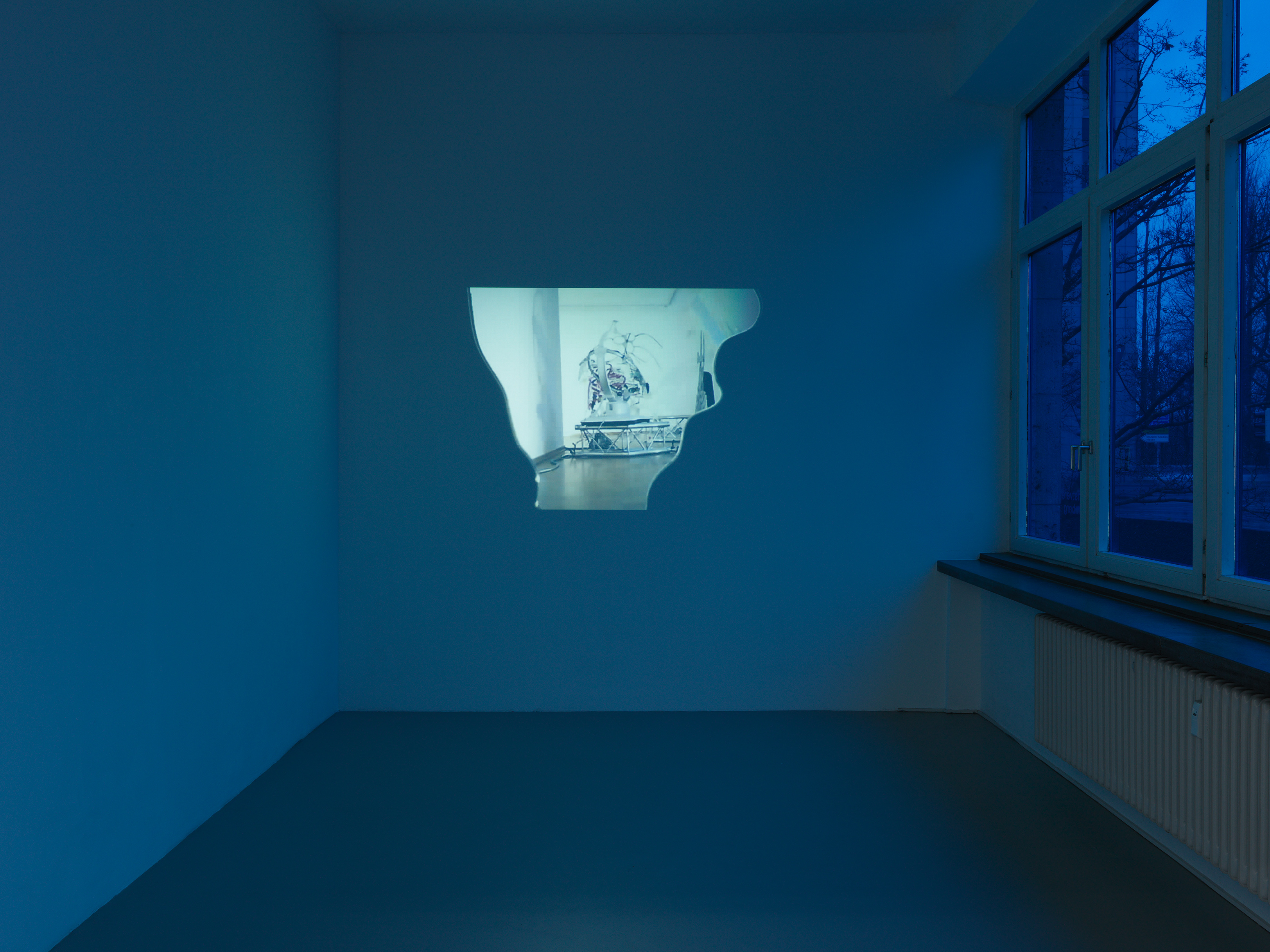 Image Credits: Installationsansicht, Katja Novitskova, »Transparenzen«, Kunstverein Nürnberg, 2015. Photo: Annette Kradisch, Nürnberg. Courtesy the artist; Kraupa-Tuskany Zeidler, Berlin