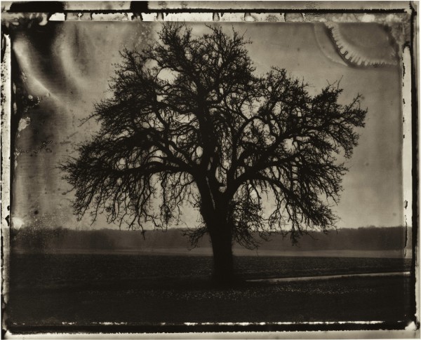 Sarah Moon: Der Birnbaum, 1992 © Sarah Moon