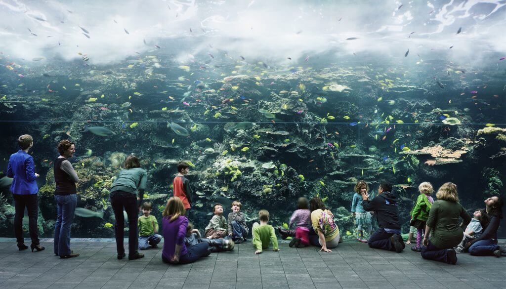 Thomas Struth: "Aquarium, Atlanta", 2013, Chromogenic print, 207,5 x 357 cm. © Thomas Struth.