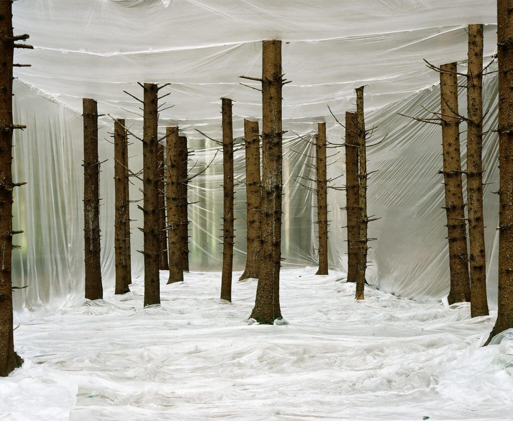 Markus Guschelbauer, Plastic Nature, 2011 © Courtesy of Photon Gallery.
