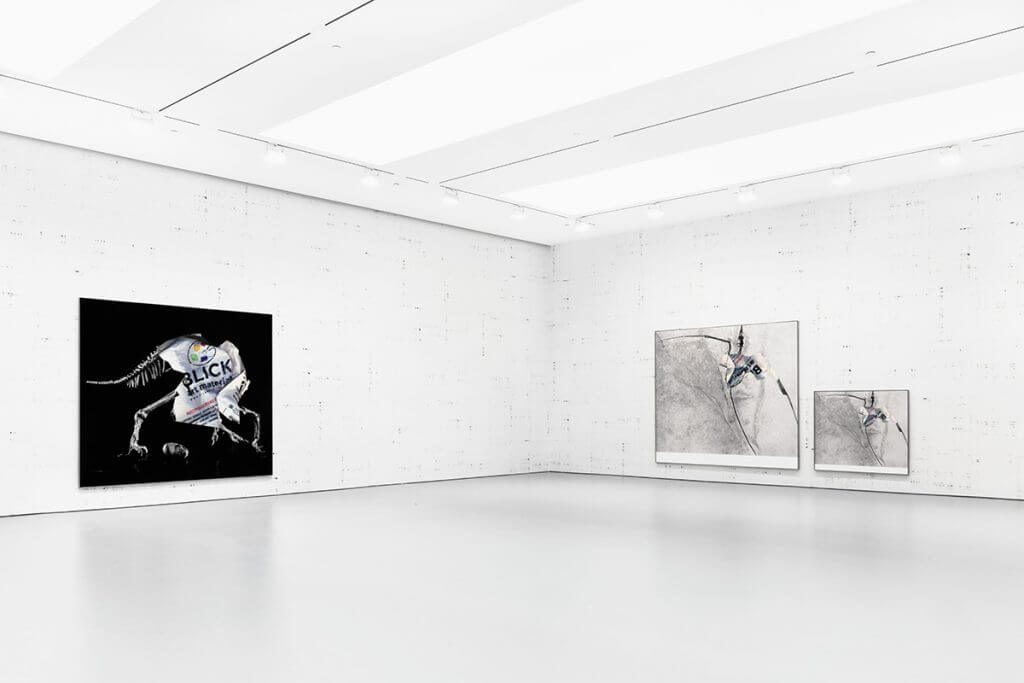 Installation view, “Michael Riedel”, David Zwirner, New York, 2016.