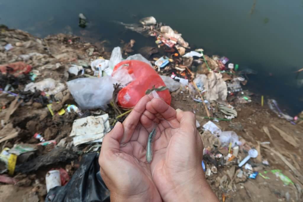 Jemand hält einen kleinen Fisch in den Händen. Im Hintergrund sind verschmutztes Wasser und Müll zu sehen.