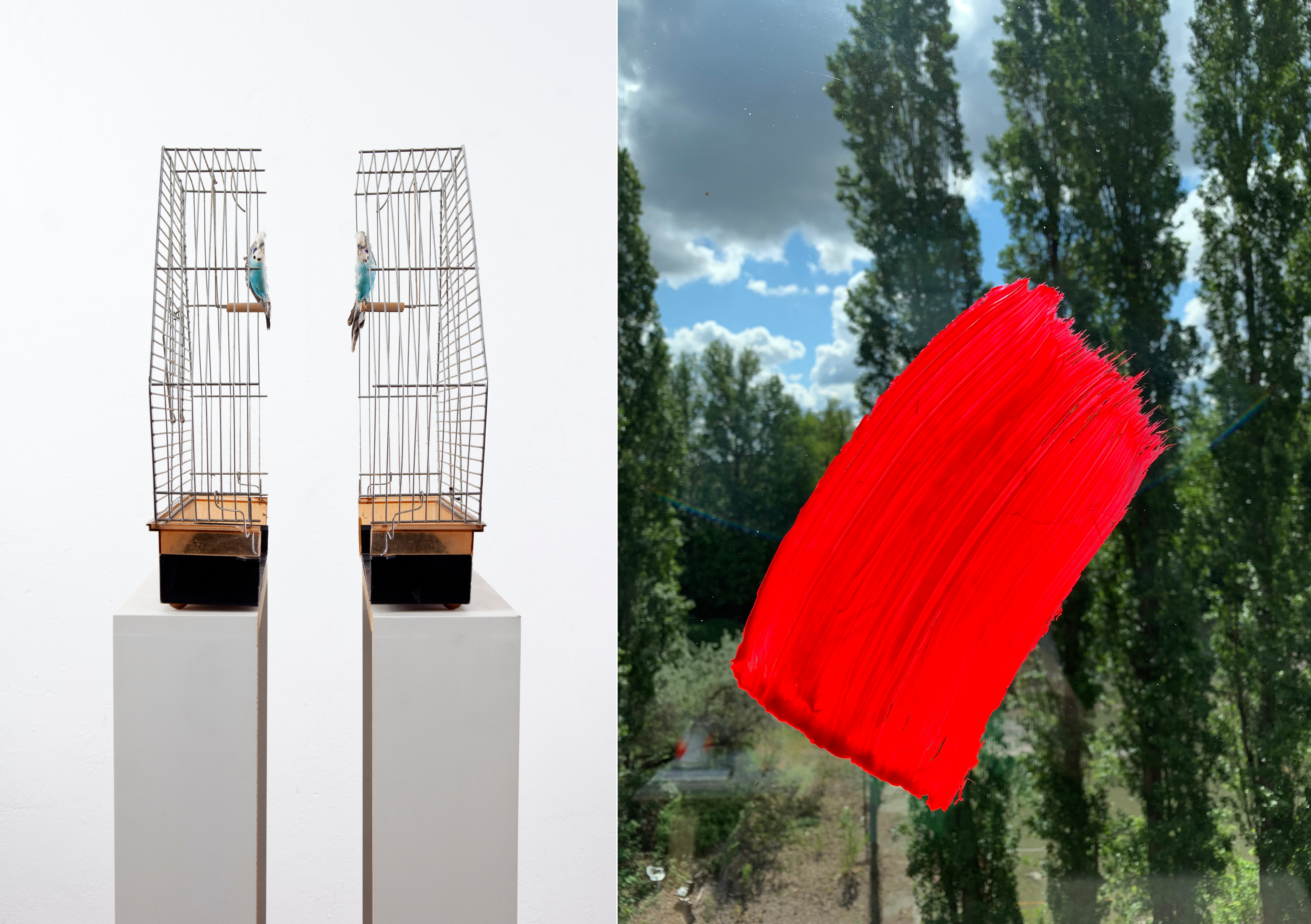 Links ein halbierter Vogelkäfig von Via Lewandowsky, rechts eine Arbeit von Karin Sander.