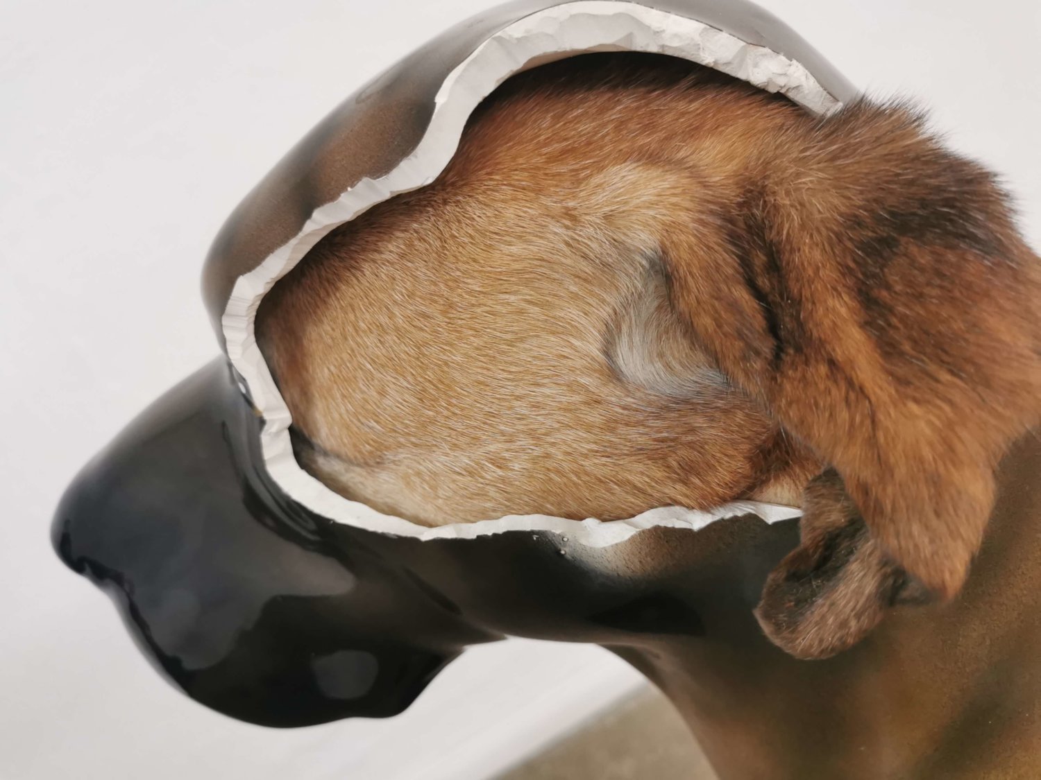 Hund in Porzellan von Marcel Walldorf.