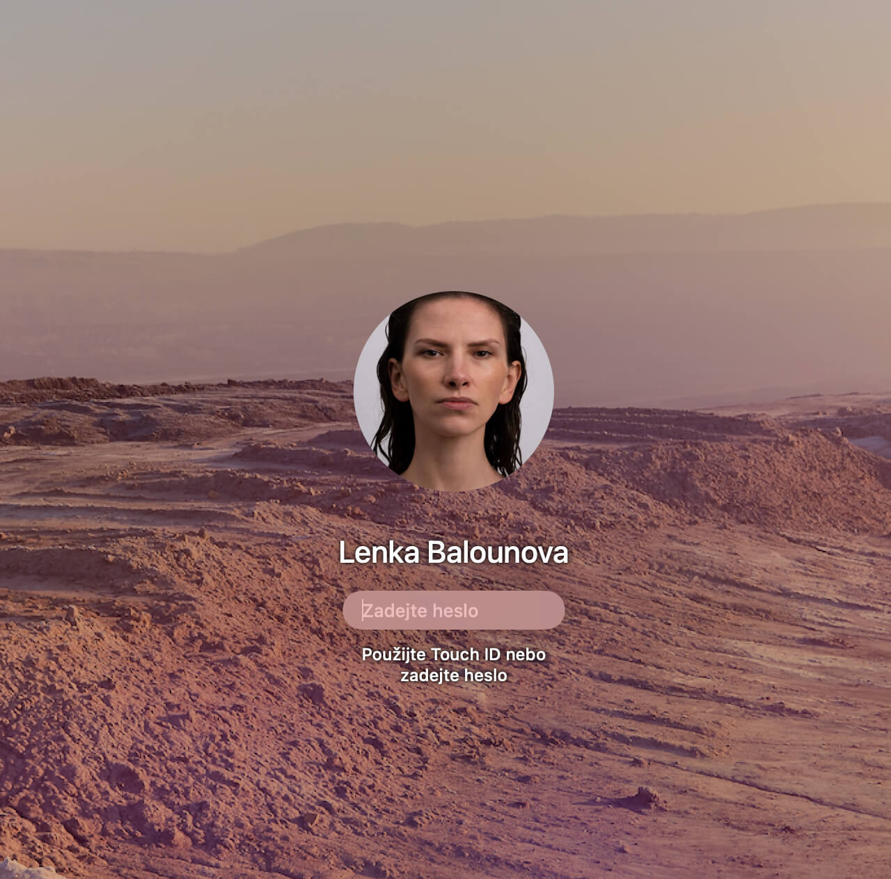 Ein Sperrbildschirm mit Wüstenhintergrund. Als Profilbild zu sehen: das verzerrte Gesicht von Lenka Balounová.