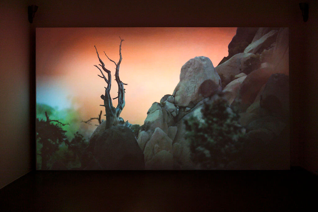 Zu sehen ist eine Leinwand auf der die Video-Arbeit Mastering Bambi von Persijn Broersen und Margit Lukács zu sehen ist. Man sieht einen Baum und Felsen vor einem roten Hintergrund.