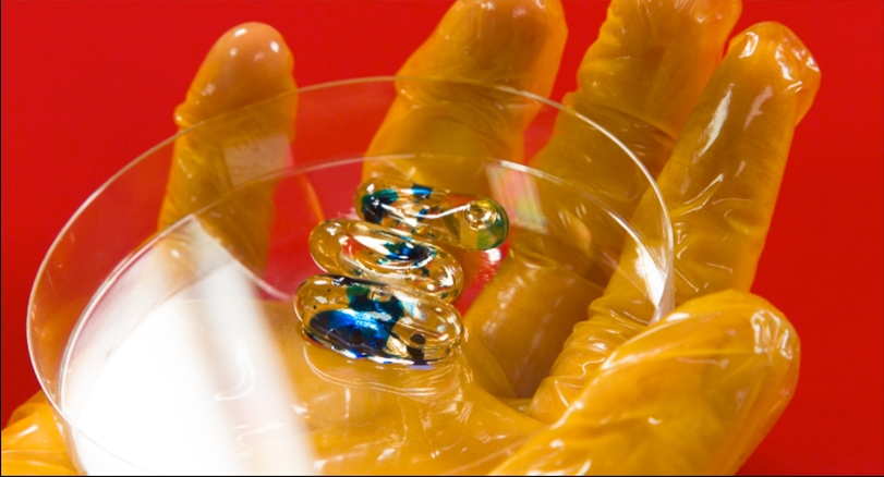 Eine Hand im gelben Plastikhandschuh hält eine Petrischale mit bunten Pillen.