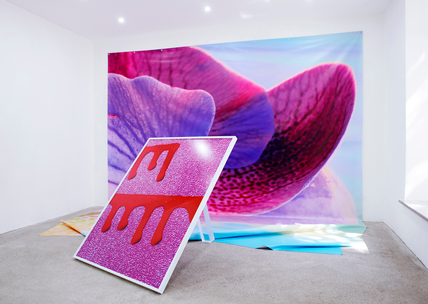 Eine Fotoarbeit in Pink lehnt vor einem Foto-Vorhang, auf dem eine Blume zu erahnen ist.