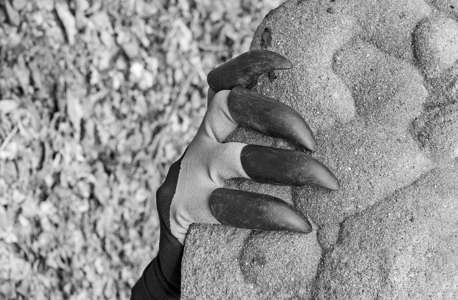 Eine Hand mit vorgelartigen Krallen greift an einen Stein. Foto in Schwarz-Weiß.