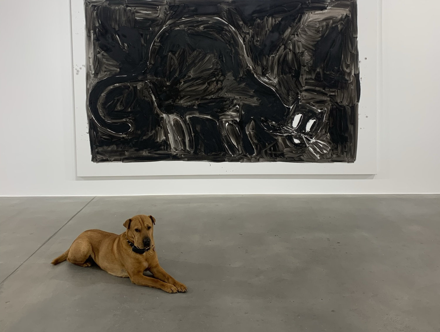 Ein großer Hund liegt auf dem Boden vor einem schwarzen Gemälde, das eine Katze zeigt.