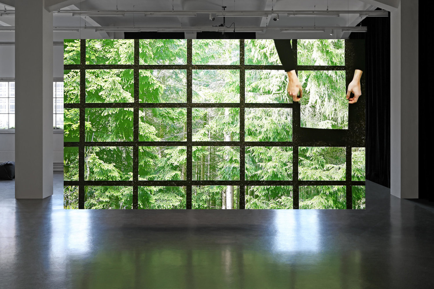 Formafantasma: Seeing the Wood for the Trees, Kunsthaus Hamburg, Installationsansicht, 2022. Film, Recherche, Wald, Baum