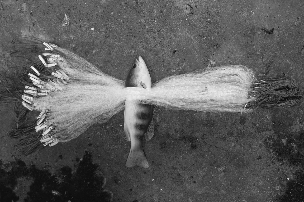 Schwarz-weiß Foto eines Fischs, der verheddert in Netz am Boden liegt.